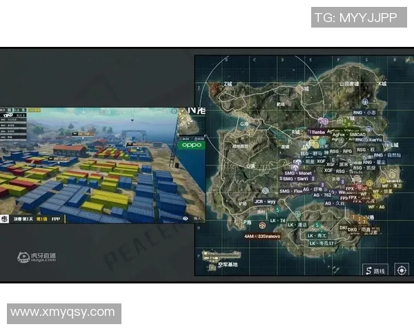 esports数据聚焦和平精英RNG战术解析与团队协作策略探讨